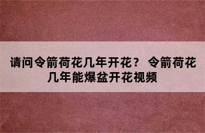 请问令箭荷花几年开花？ 令箭荷花几年能爆盆开花视频